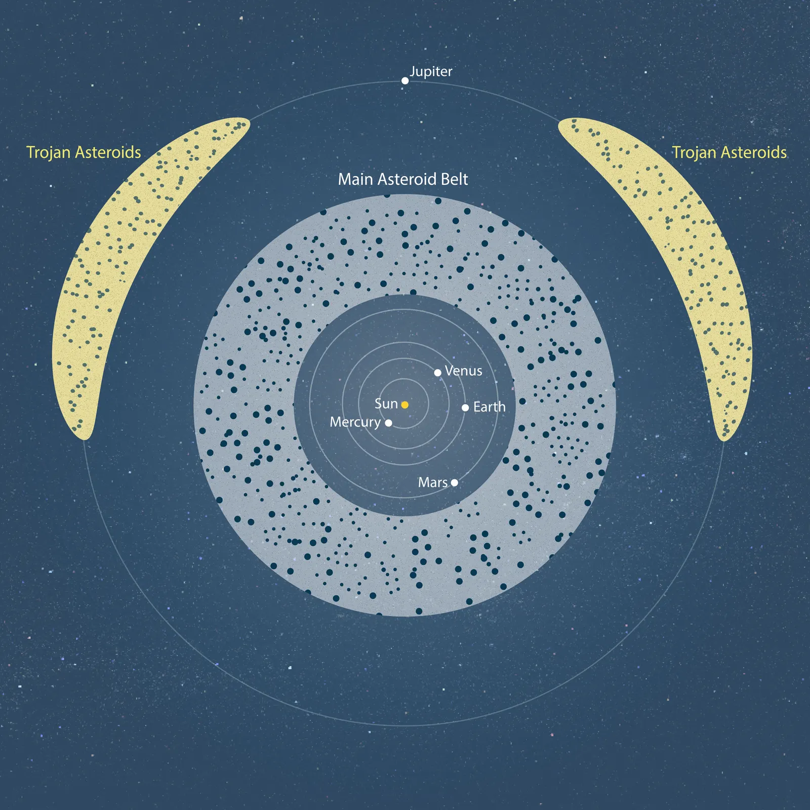 Overhead diagram of the Sun, the orbits of the four inner planets, a broad ring of asteroids between Mars and Jupiter, and two swarms of asteroids sharing Jupiter's orbit