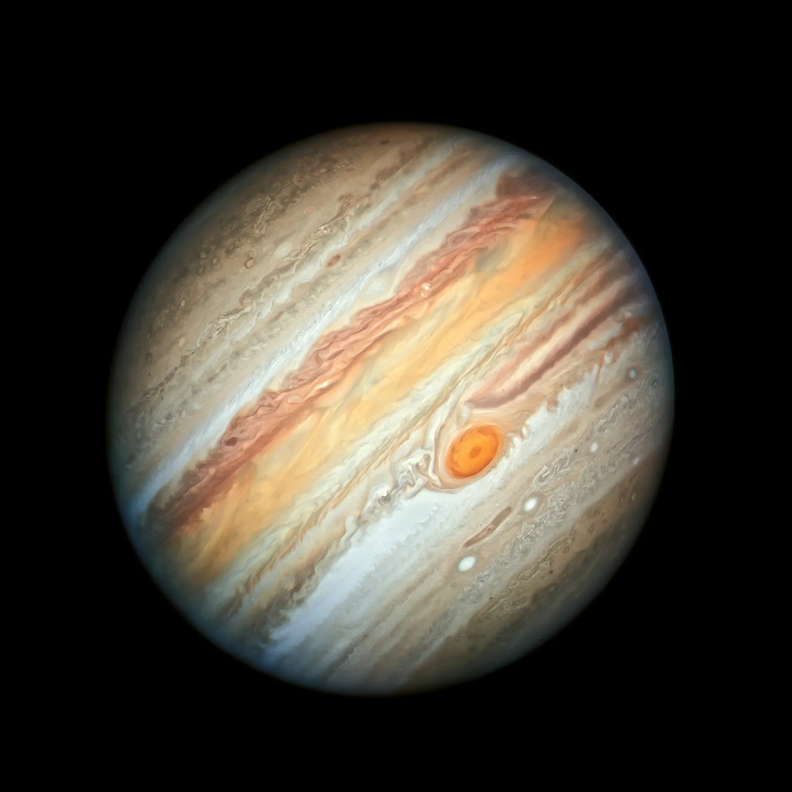 Jupiter seen by Hubble: horizontal cream, tan and brown bands, the orange-red Great Red Spot in the southern half, and small white oval storms